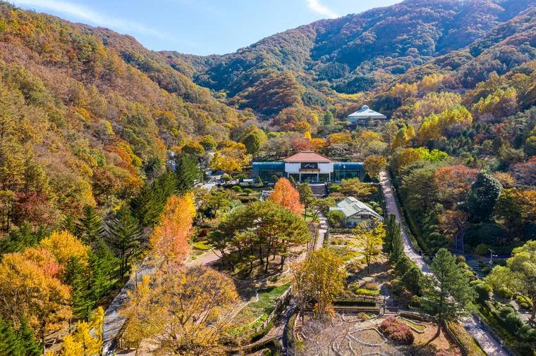대아수목원 대표 사진