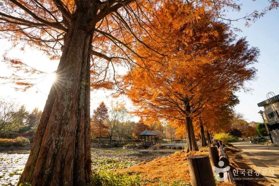 한국도로공사 전주수목원 대표 사진
