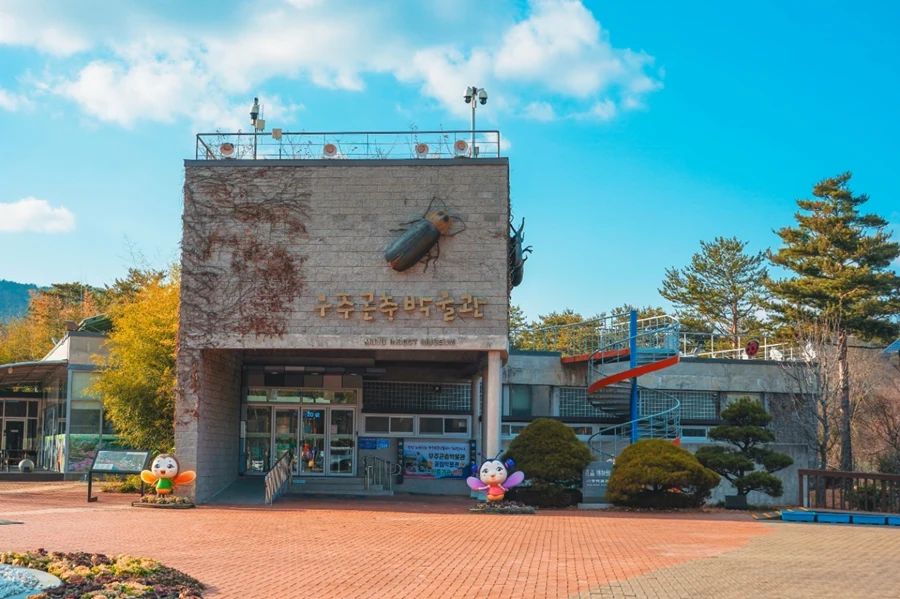 반디랜드 대표 사진